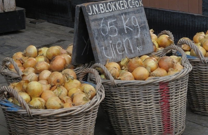 Broek op Langedijk