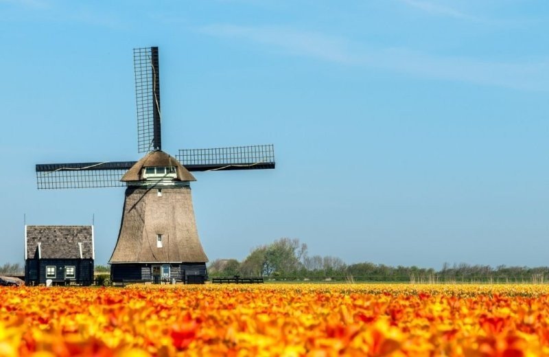 Molen bij schagen