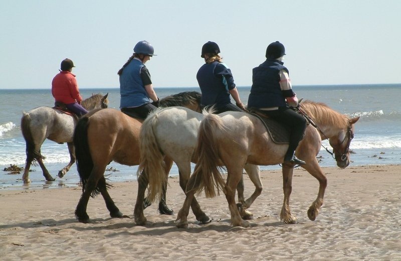 Paardrijden op het strand